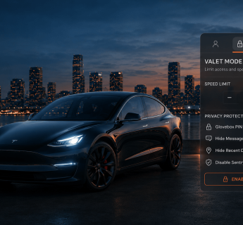 Tesla Valet Mode